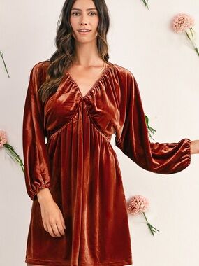 Velvet Long-Sleeve V-Neck Mini Dress in Rust NWOT